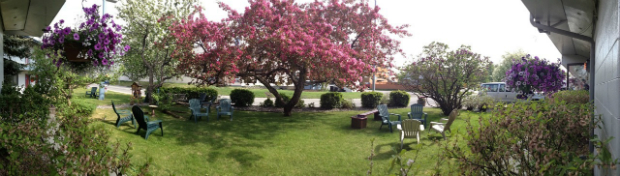 Grounds at Lakeshore Inn & Suites